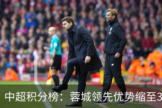 中超积分榜：蓉城领先优势缩至3分 两降级队最终确定