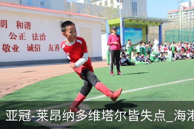 亚冠-莱昂纳多维塔尔皆失点 海港爆冷2-3河内公安遭首败