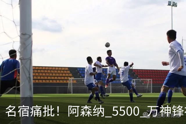 名宿痛批！阿森纳 5500 万神锋被彻底用废！阿尔特塔离谱毁人