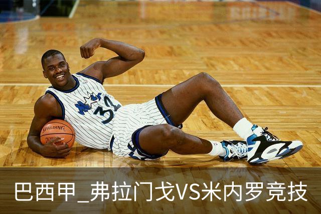巴西甲 弗拉门戈VS米内罗竞技