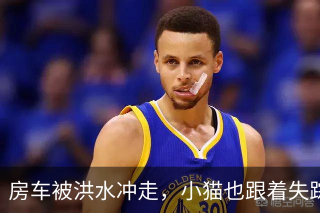 房车被洪水冲走，小猫也跟着失踪，8天后它突然回家了，全家人都哭了