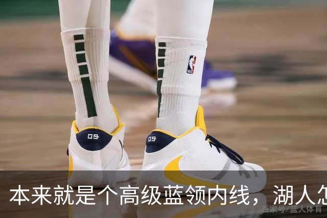 本来就是个高级蓝领内线，湖人怎么能指望他做到面面俱到？