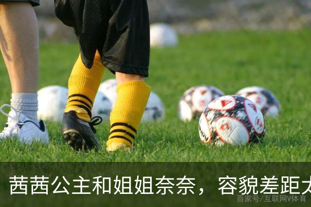 茜茜公主和姐姐奈奈，容貌差距太大了，难怪弗兰兹国王临时改变主意