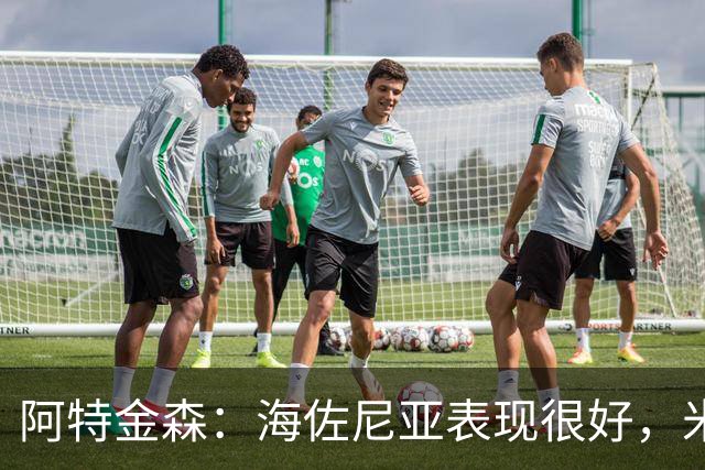 阿特金森：海佐尼亚表现很好，米哈哑火时他站出来承担得分重任