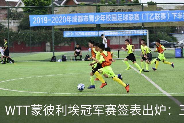 WTT蒙彼利埃冠军赛签表出炉：王曼昱首轮对阵汉娜·高达，孙颖莎对阵卢茨，林诗栋将战林钟勋